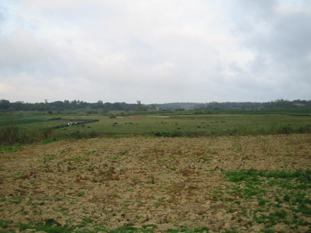 hainan2-075.jpg
