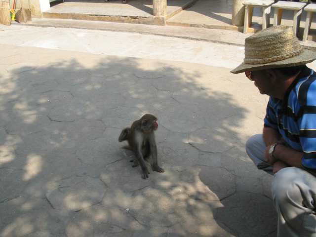 img_0520.jpg