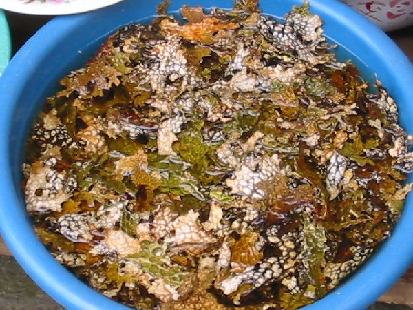 0daliyunnan-016seaweedfood.jpg