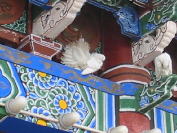 1daliyunnan-038fantaildovetempleeave.jpg