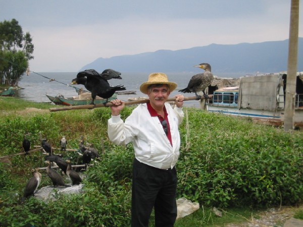 daliyunnan003cormorantsjos1.jpg