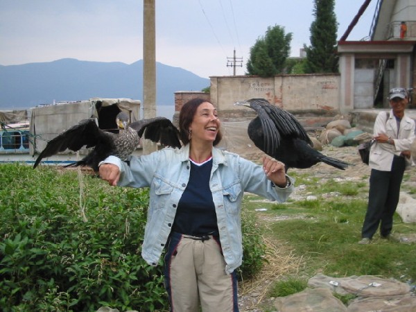 daliyunnan007cormorantsellen2.jpg