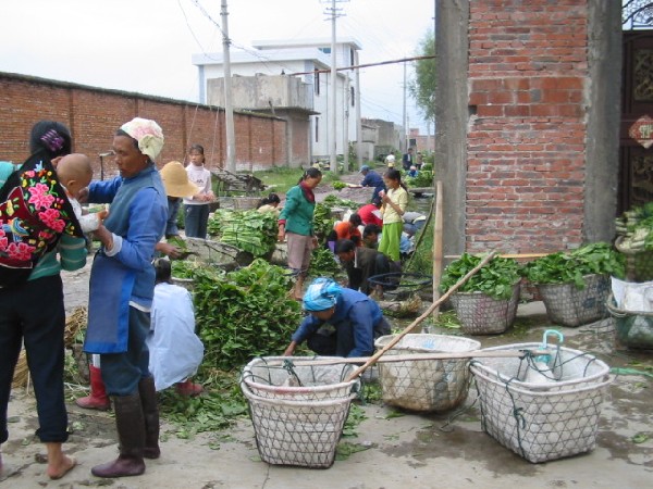 daliyunnan027farmvillagebylake.jpg