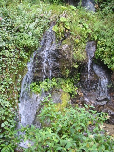 daliyunnan074mtntophike.jpg