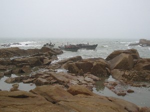 img_0393.jpg