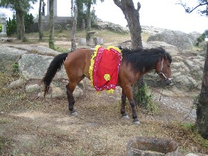 img_0396.jpg