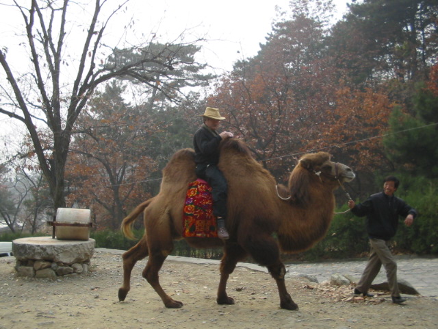 GreatWall026.JPG