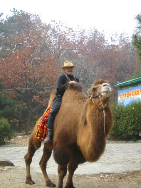 GreatWall027.JPG