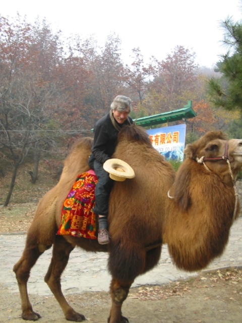 GreatWall028.JPG